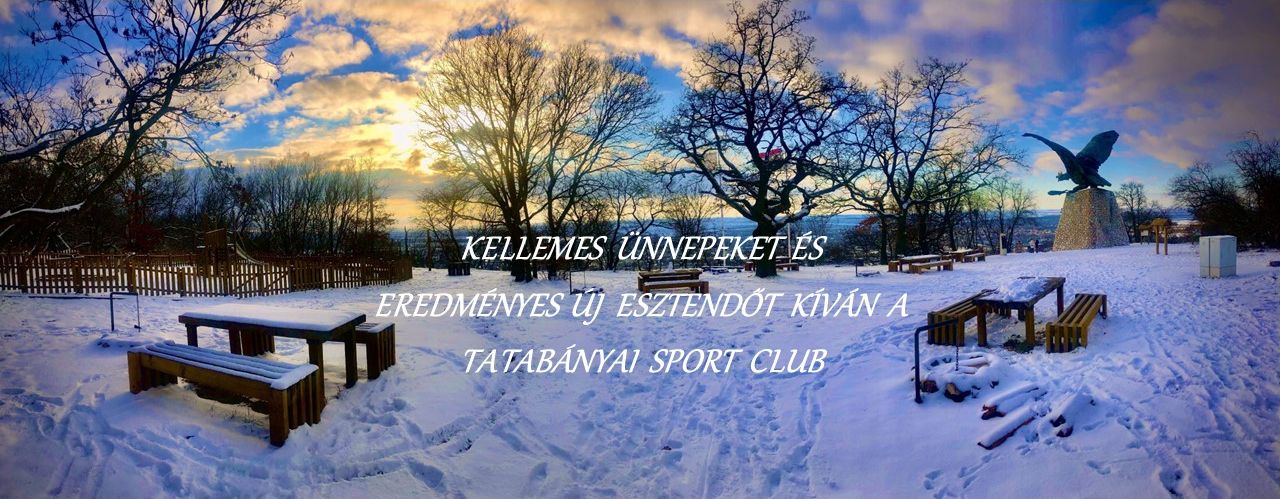 Kellemes Ünnepeket kíván a Tatabányai Sport Club