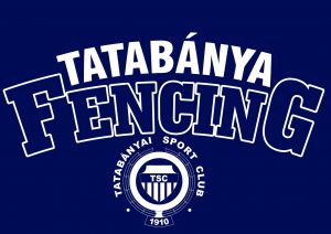 fancing-tatabanya-300x212.jpg